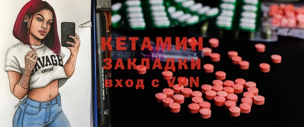 крисы Ельня