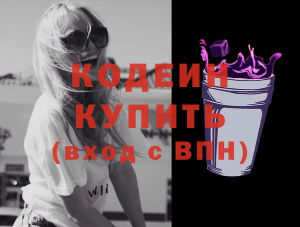крисы Ельня