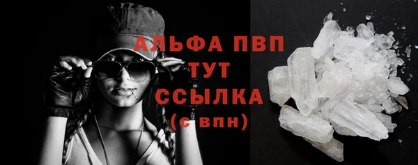 крисы Ельня