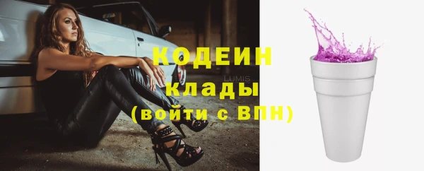 крисы Ельня