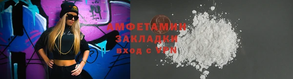 крисы Ельня