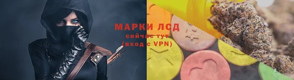 крисы Ельня
