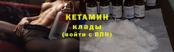 крисы Ельня