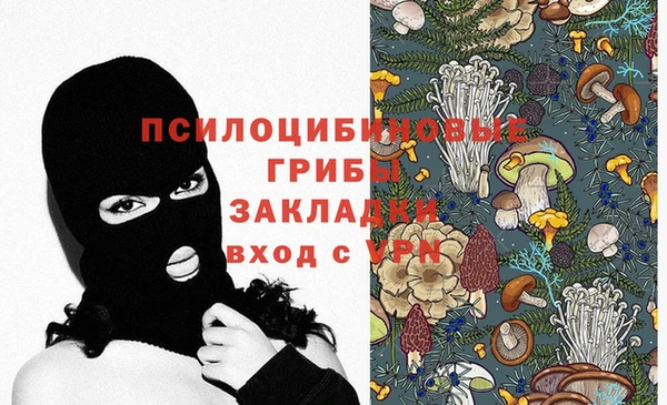 крисы Ельня