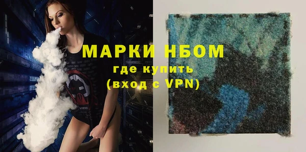 крисы Ельня