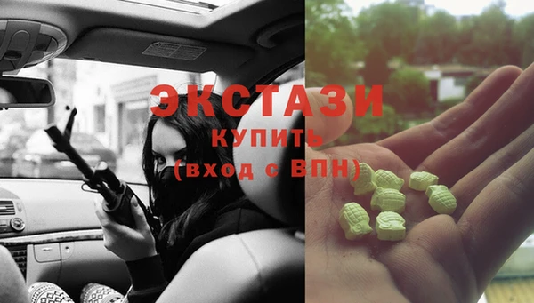 крисы Ельня